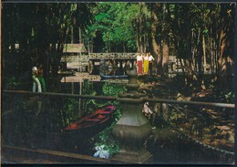 °°° 19885 - BRASIL - BELEM - INTERIOR DO BOSQUE RODRIGUES ALVES - 1987 °°° - Belém