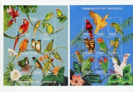 Congo RD 2000-Perroquets Et Tropicaux-4 Blocs - Perroquets & Tropicaux