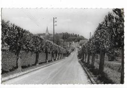 SANTENY Avenue De La Gare, Envoi 1955, Cpsm Pf - Santeny