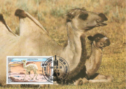 1985 - MONGOLIA -  Wild Bactrian Camel  -  Chameau Sauvage De Mongolie WWF - Mongolei