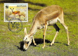 1993 - BAHRAIN - Gazelle à Goitre De Bahrein - Goitered Gazelle WWF - Bahrain