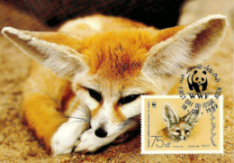 1989 -  Democratic Republic Of Yemen (South Yemen)  - ADEN - Fennec Fox - Renard Des Sables WWF - Yémen