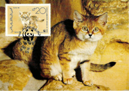 1989 -  Democratic Republic Of Yemen (South Yemen)  - ADEN - Wild Sand Cat - Chat Sauvage Des Sable WWF - Yémen