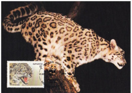 1994 - Kyrgyzstan Кыргызстан - Snow Leopard - Panthère Des Neiges WWF - Kyrgyzstan