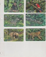 THE JUNGLE COLLECTION MERCURYCARD - Collezioni