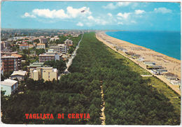 TAGLIATA DI CERVIA - RAVENNA - PANORAMA E PINETA - VIAGG. 1972 -65758- - Ravenna