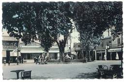 Cpsm Algérie - Tebessa - La Place De La Casbah - Tébessa