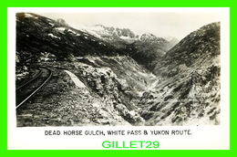 YUKON - DEAD HORSE GULCH, WHITE PASS & YUKON ROUTE - REAL PHOTOGRAPH - - Yukon