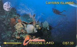 ILES CAYMAN  -  Phonecard  -  Cabble & Wirelees  - CI $ 7.50 - Kaimaninseln (Cayman I.)