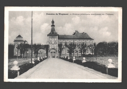 Domaine De Wégimont - Avenue Principale Conduisant Au Château - Soumagne