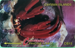 ILES CAYMAN  -  Phonecard  -  Cabble & Wirelees  -  CI $ 15 - Isole Caiman