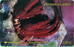 ILES CAYMAN  -  Phonecard  -  Cabble & Wirelees  -  CI $ 15 - Cayman Islands
