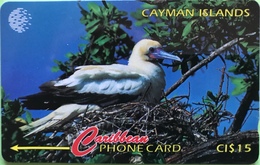 ILES CAYMAN  -  Phonecard  -  Cabble & Wirelees  -  Sula Sula  -  CI $ 15 - Islas Caimán