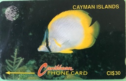 ILES CAYMAN  -  Phonecard  -  Cabble & Wirelees  -  CI $ 30 - Cayman Islands