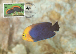 1984 - GRENADA - Ile Grenade - Coral Fleet Fish - Poisson Corail Flameback Cherubfish  WWF - Grenada