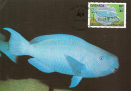 1984 - GRENADA - Ile Grenade - Blauer Papageifisch, Scarus Coeruleus, Blue Parrotfish WWF - Grenada