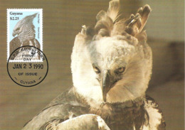 1990 - GUYANA Georgetown - Harpy Eagle Harpie Féroce - Aigle Forestier WWF - Surinam