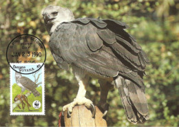 1990 - GUYANA Georgetown - Harpy Eagle Harpie Féroce - Aigle Forestier WWF - Suriname