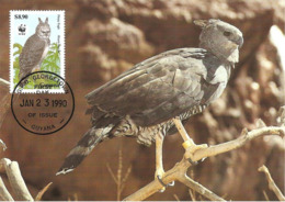 1990 - GUYANA Georgetown - Harpy Eagle Harpie Féroce - Aigle Forestier WWF - Suriname