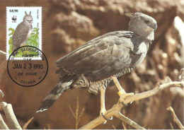 1990 - GUYANA Georgetown - Harpy Eagle Harpie Féroce - Aigle Forestier WWF - Surinam