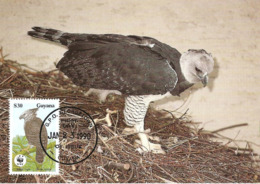 1990 - GUYANA Georgetown - Harpy Eagle Harpie Féroce - Aigle Forestier WWF - Suriname