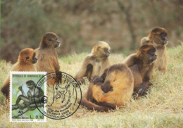 Republica De Honduras 1990 , Geoffroy`s Spider Monkey - Singe Araignée  WWF - Honduras