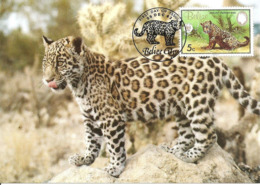 1983 - BELIZE - Jaguar (Panthera Onca) WWF - Belice