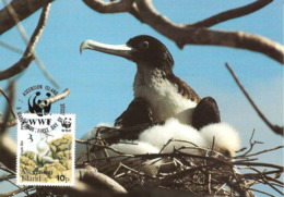 1990 - Ascension Island - Greater Frigatebird - Oiseau Fregate Nid  WWF - Isla Ascensión