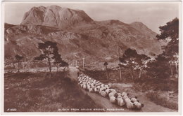 Pf. ROSS-SHIRE. Slioch From Grudie Bridge. 1693 (berger) - Ross & Cromarty