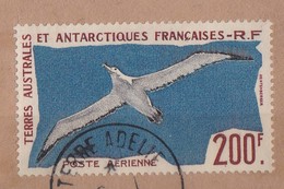 TAAF - N° PA 4 - Grand Albatros - 20 % De La Cote - Usados