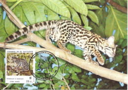 1988 - SALVADOR - Margay - Chat Tigre  - WWF - El Salvador