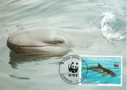 1992 - SAO TOME E PRINCIPE - False Killer Whale - Fausse Orque Pseudorca - Santo Tomé Y Príncipe