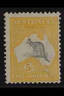 1913 5s Grey And Yellow, Wmk "Wide Crown", Kangaroo, SG 13, Fine And Fresh Mint. For More Images, Please Visit Http://ww - Andere & Zonder Classificatie