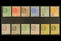 1913-21 MCA Wmk Definitive Set Plus An Additional 96c (96c X2, Coloured & White Paper), SG 259/69b, Fine Mint (12 Stamps - Brits-Guiana (...-1966)