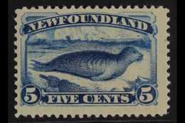 1887 5c Deep Blue "Common Seal", SG 53, Very Fine Mint Og. For More Images, Please Visit Http://www.sandafayre.com/itemd - Sonstige & Ohne Zuordnung