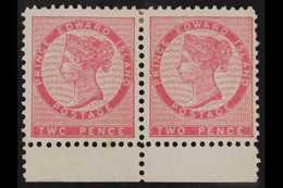 1870 VARIETY 2c Rose Pink, Marginal Horizontal Pair, One Showing The Variety "Twc For Two", SG 28, 28b, Superb Mint. (2  - Andere & Zonder Classificatie