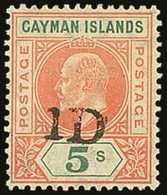 1907 "1D" On 5s Salmon And Green, SG 19, Never Hinged Mint. For More Images, Please Visit Http://www.sandafayre.com/item - Kaimaninseln