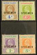 1907 Set, Overprinted "SPECIMEN", SG 13/16s, Extremely Fine Mint. (4) For More Images, Please Visit Http://www.sandafayr - Kaimaninseln