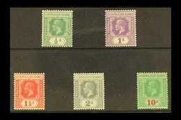 1922-27 KGV Definitives Die II Set, SG 27/35, Fine Mint (5 Stamps) For More Images, Please Visit Http://www.sandafayre.c - Gilbert- En Ellice-eilanden (...-1979)