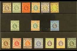 1903-11 ALL DIFFERENT MINT KEVII SELECTION Presented On A Stock Card That Includes 1903 CA Wmk 1c, 2c, 4c, 5c, 8c & 12c, - Autres & Non Classés