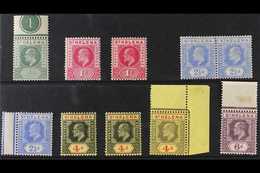 1902-11 NHM DEFINITIVES. An Attractive Selection Of KEVII Definitives Presented On A Stock Card That Includes The 1902 S - Isola Di Sant'Elena