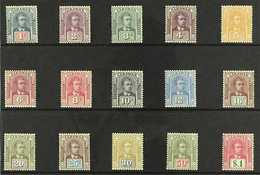 1928-29 Sir Charles Vyner Brooke Set, Multi Rosette Wmk, Scott 79/93, SG 76/90, Never Hinged Mint (15 Stamps) For More I - Sarawak (...-1963)