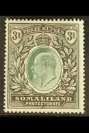 1904 3r Green And Black, SG 43, Very Fine Mint. For More Images, Please Visit Http://www.sandafayre.com/itemdetails.aspx - Somaliland (Herrschaft ...-1959)