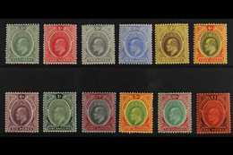 1907 - 11 Ed VII Set To £1 Complete, SG 33/44, Very Fine Mint. (12 Stamps) For More Images, Please Visit Http://www.sand - Nigeria (...-1960)