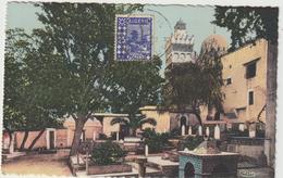 Carte-Maximum ALGERIE, N°Yvert  78 (Alger- Mosquée Et Cimetière Arabe) Obl 29.6.45 Alger-Bourse (Ed Combier)RR - Maximum Cards