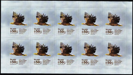 2014 Iceland Centenary Of Protection Program Of White-tailed Sea Eagle Foil (Self Adhesive) - Arends & Roofvogels