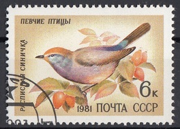 Russia 1981 Sc. 4972 Birds Uccelli Canori Cincia Siberiana CTO URSS Passeri - Passeri