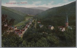 Schlangenbad Im Taunus - Vom Musensitz - Schlangenbad