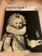 Wat Is Kant ?  M Risselin Steenebrugen - Sachbücher