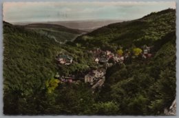 Schlangenbad Im Taunus - Partie Mit Waldfrieden - Schlangenbad